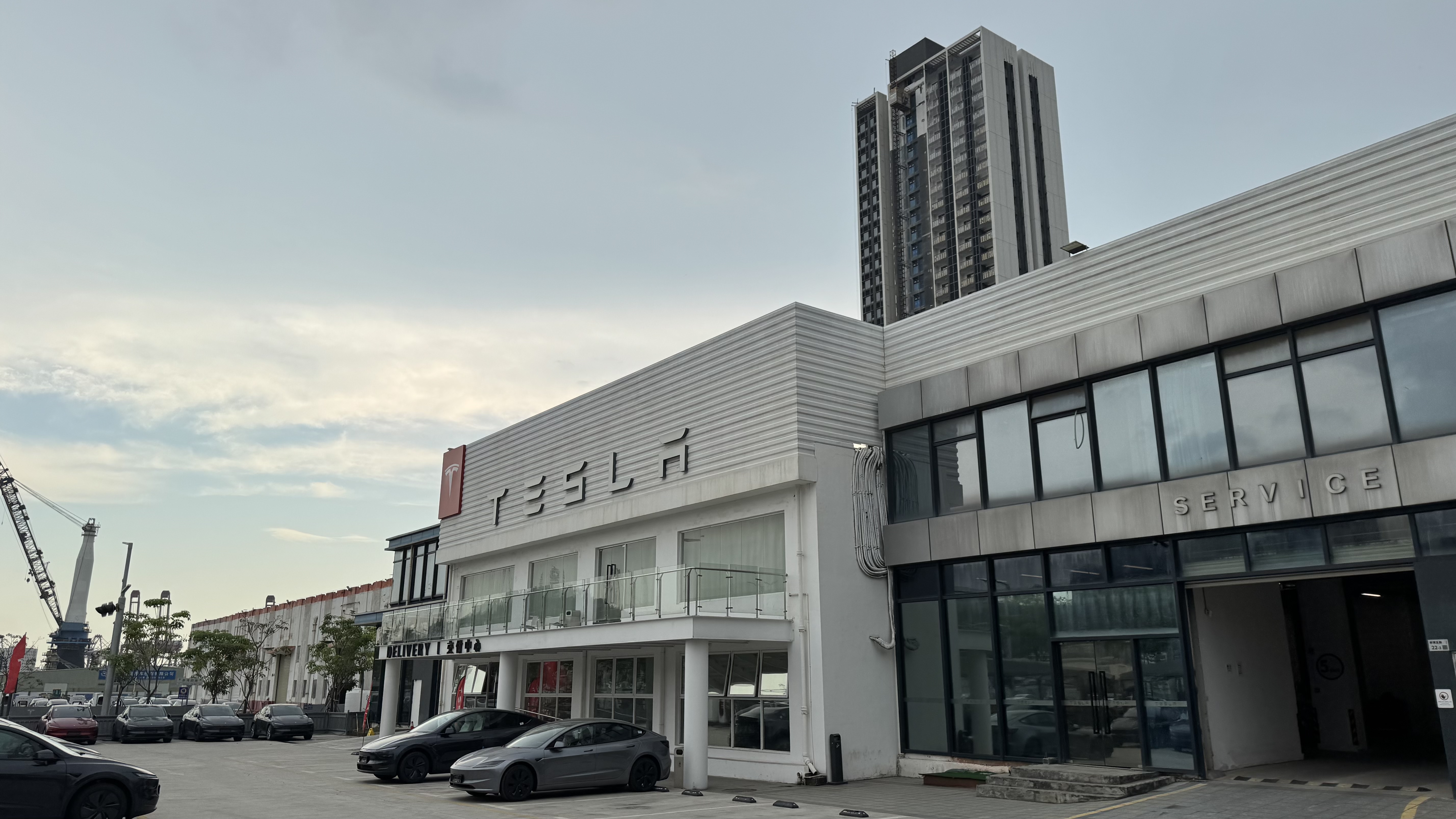 tesl31