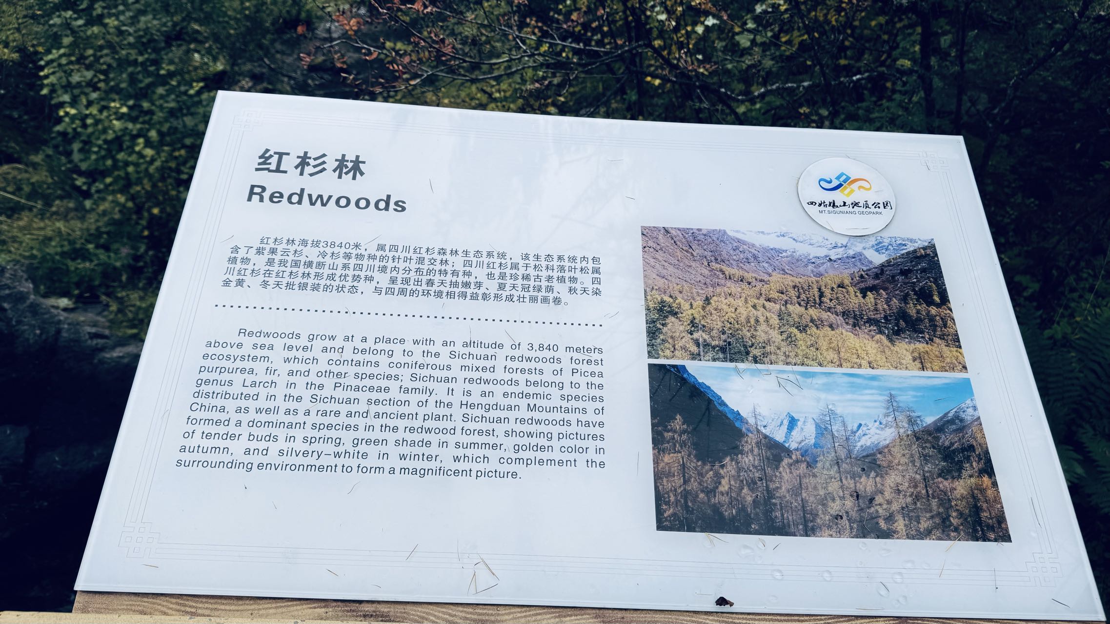 jiuzhaigou31